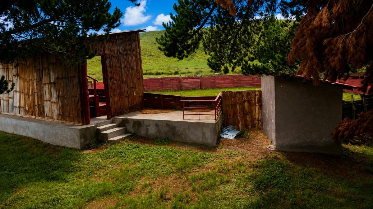 Hacienda Ganadera y Agrícola en Venta | 1000 Hectáreas, Pichincha — imagen 3
