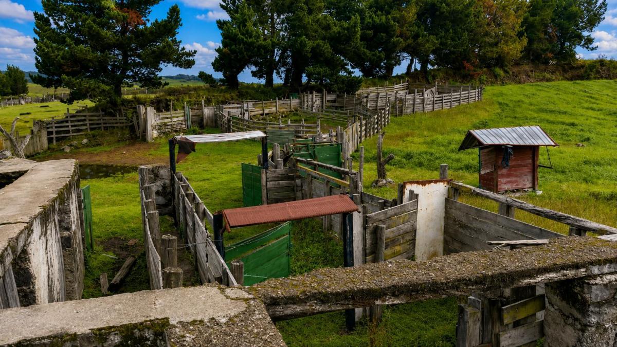 Hacienda Ganadera y Agrícola en Venta | 1000 Hectáreas, Pichincha — imagen 2