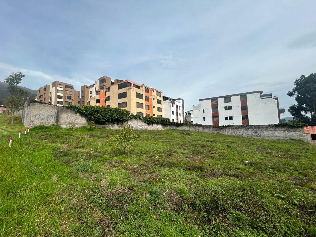Terreno en Venta, Pinar Alto, Sector El Bosque, Norte de Quito — imagen 5