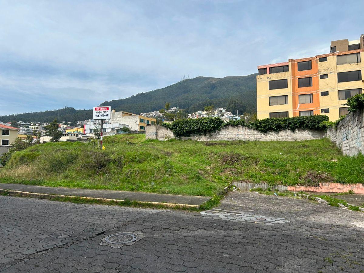 Terreno en Venta, Pinar Alto, Sector El Bosque, Norte de Quito — imagen 4