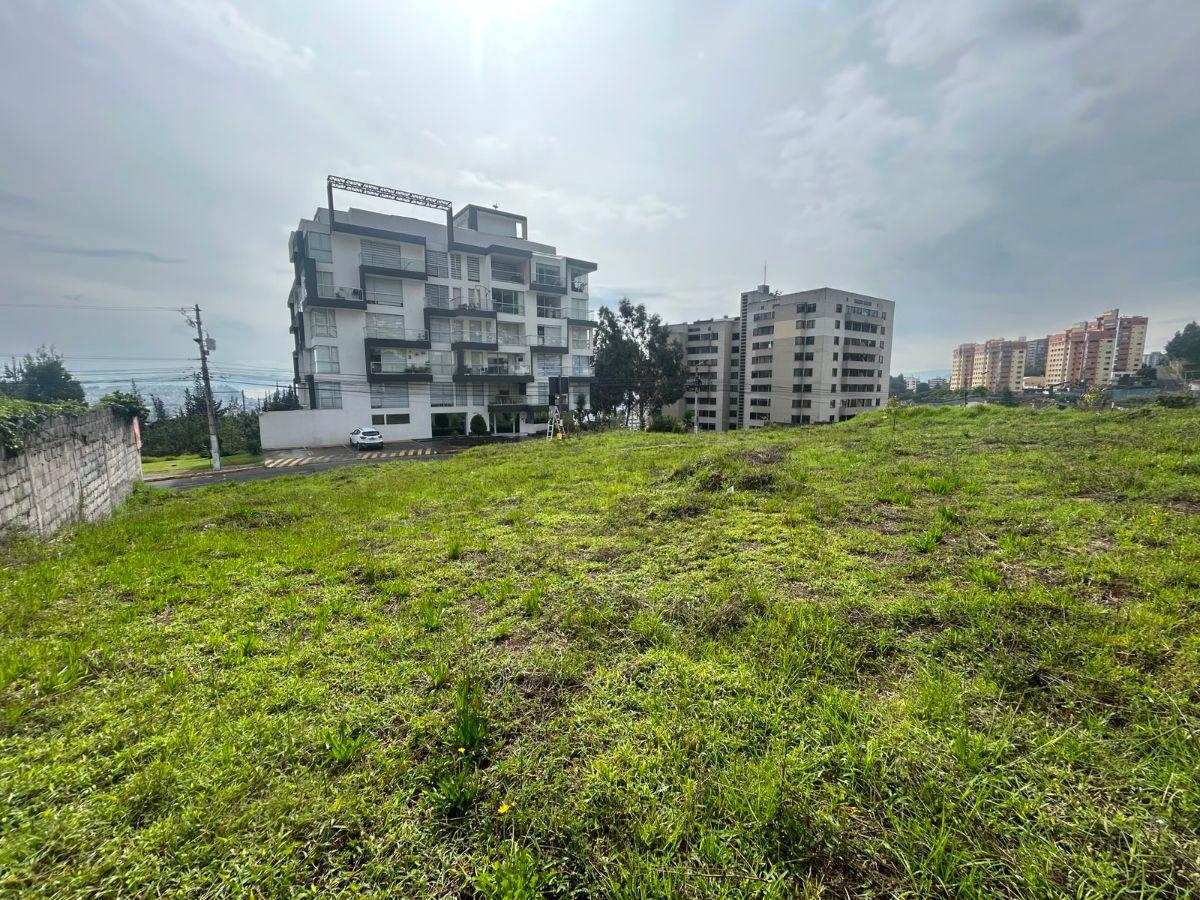 Terreno en Venta, Pinar Alto, Sector El Bosque, Norte de Quito — imagen 3