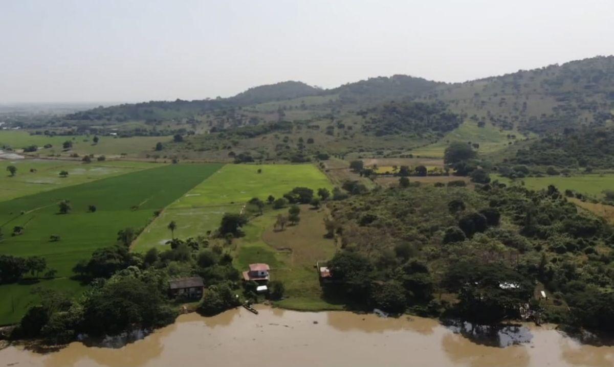 Venta Terreno Agrícola Daule - A. Maidana, Guayas — imagen 10