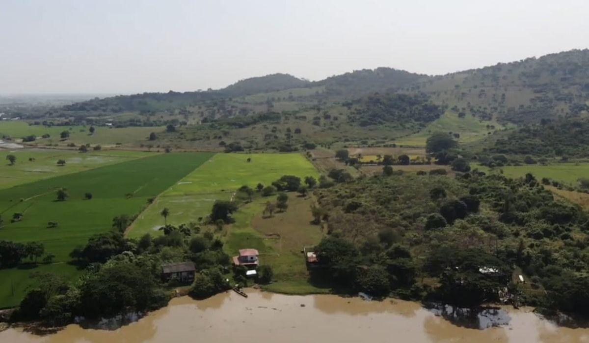 Venta Terreno Agrícola Daule - A. Maidana, Guayas — imagen 9