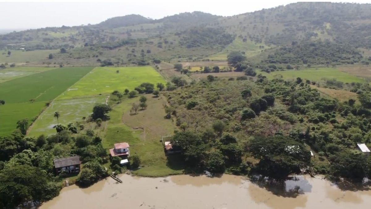 Venta Terreno Agrícola Daule - A. Maidana, Guayas — imagen 6