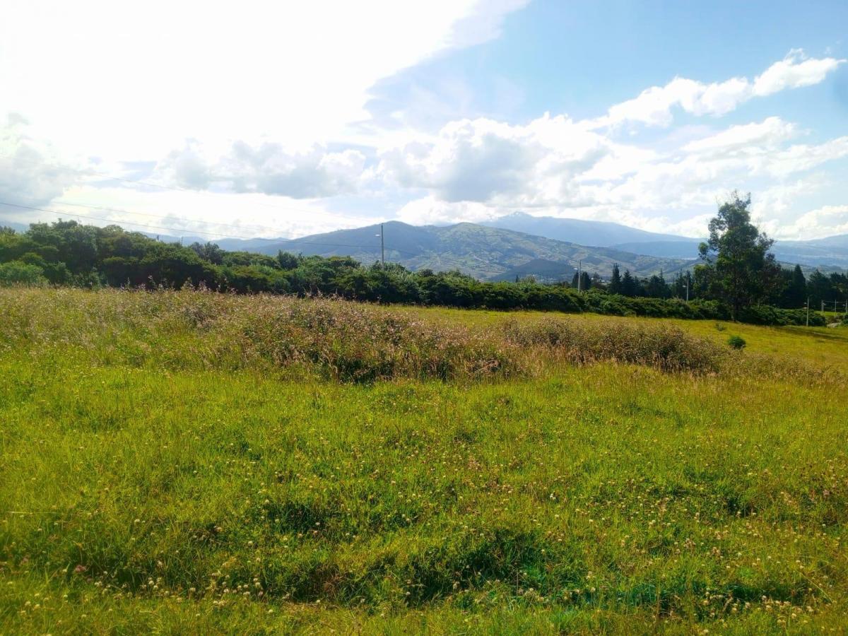 Terreno 15 Has en Venta Sector El Inga, pifo — imagen 4