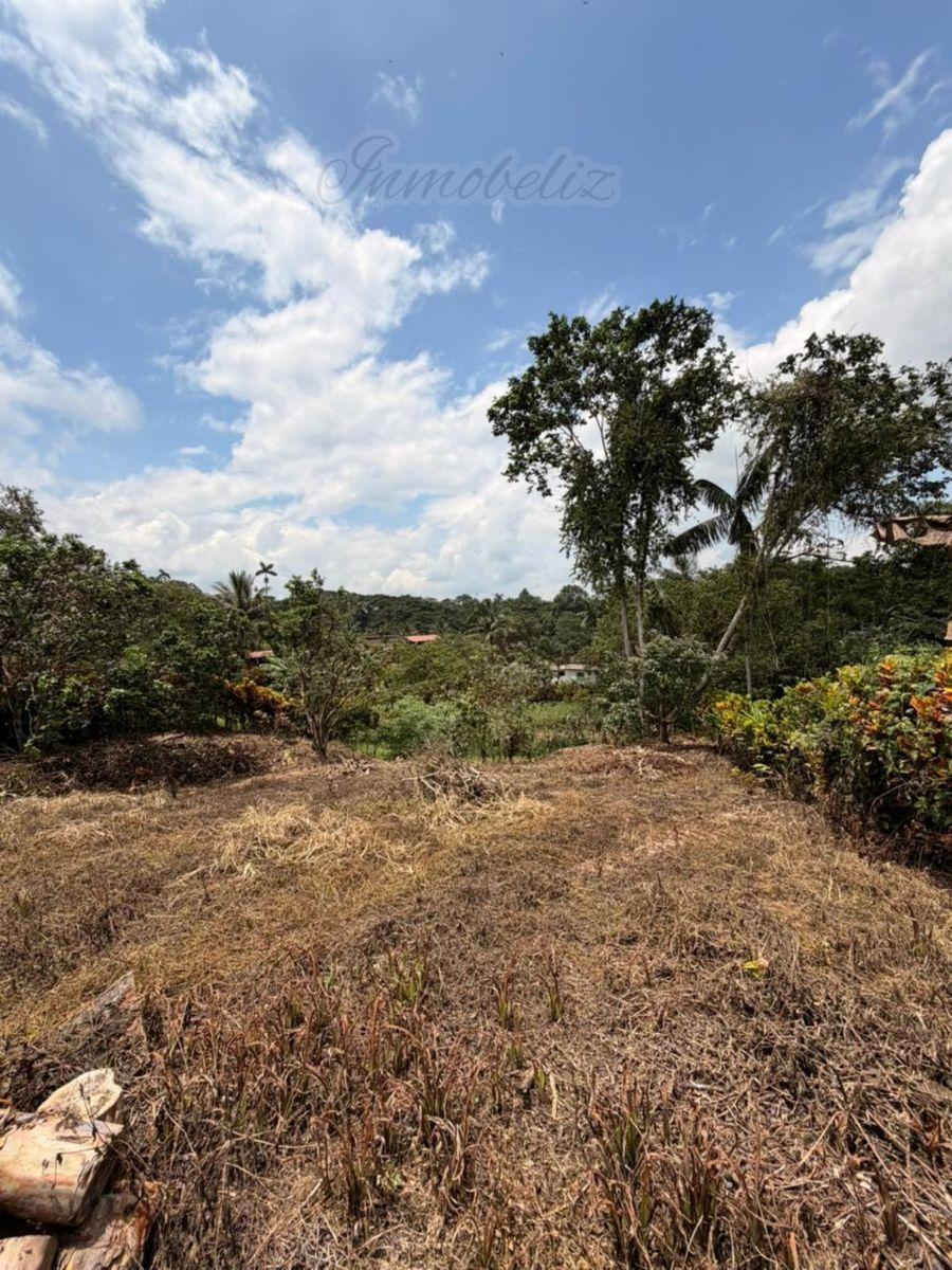 Económico y Céntrico Terreno en Venta en Urbanización Privada - Pedro Vicente Maldonado — imagen 5