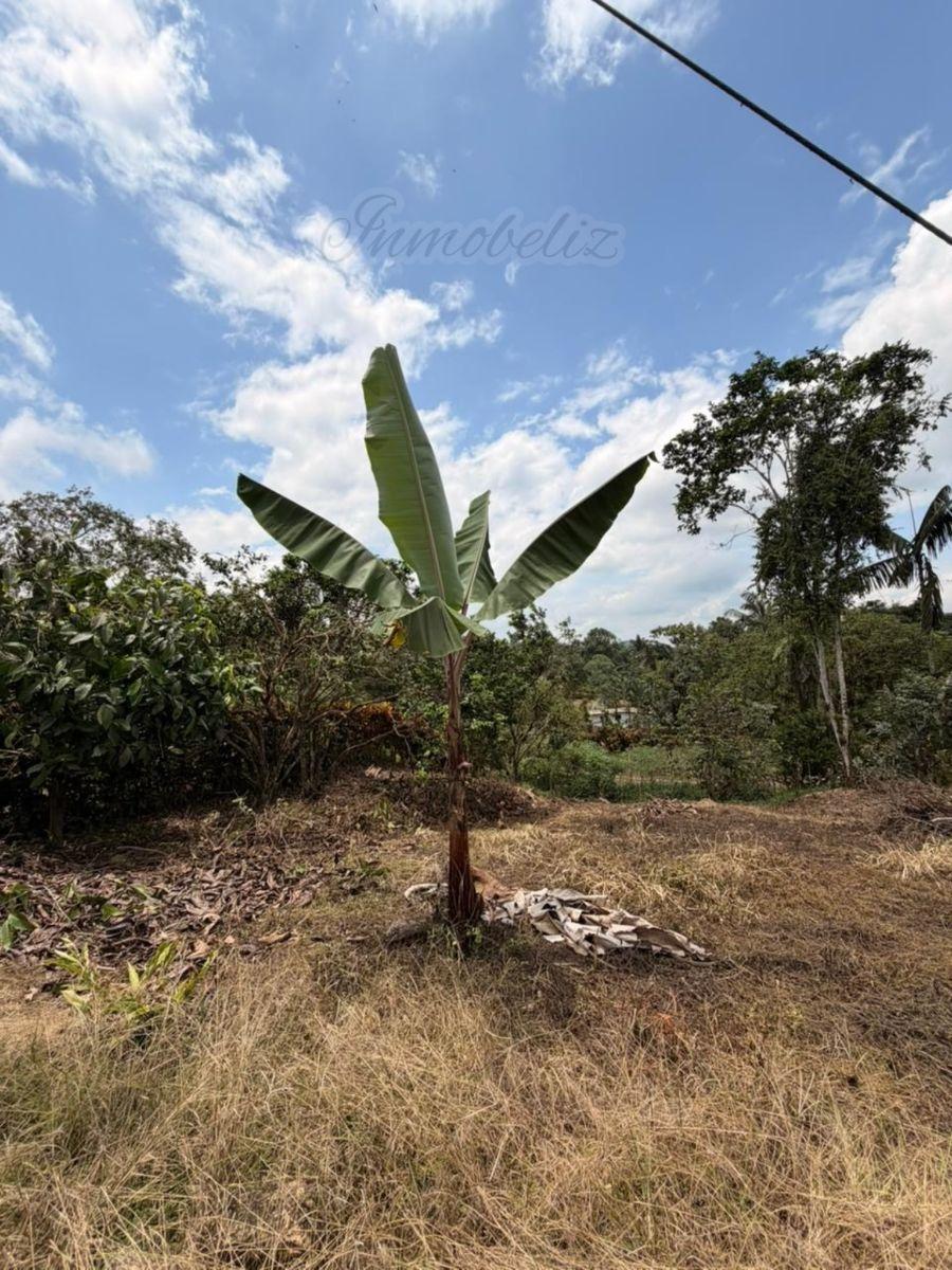 Económico y Céntrico Terreno en Venta en Urbanización Privada - Pedro Vicente Maldonado — imagen 4