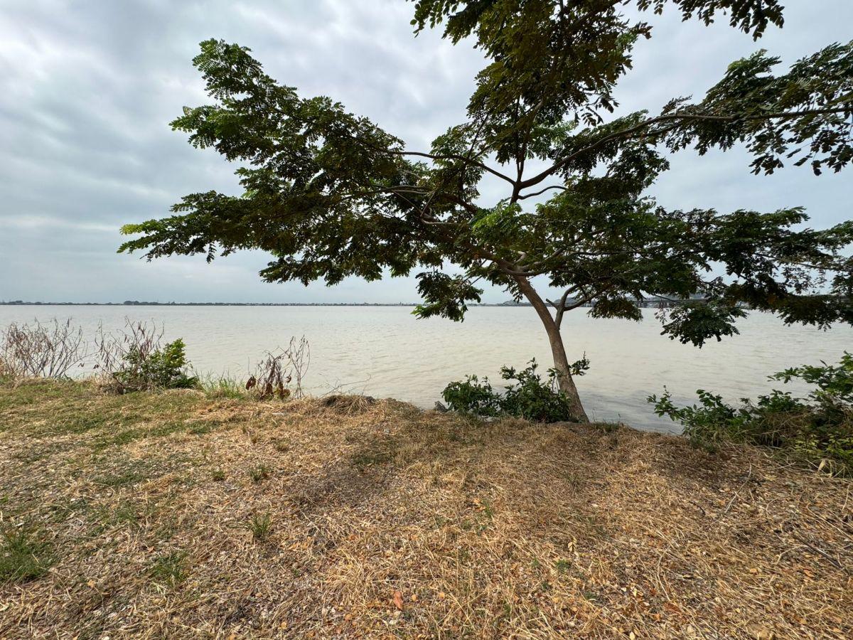 Terreno Urb Aquamarina - Samborondon, Guayas — imagen 8