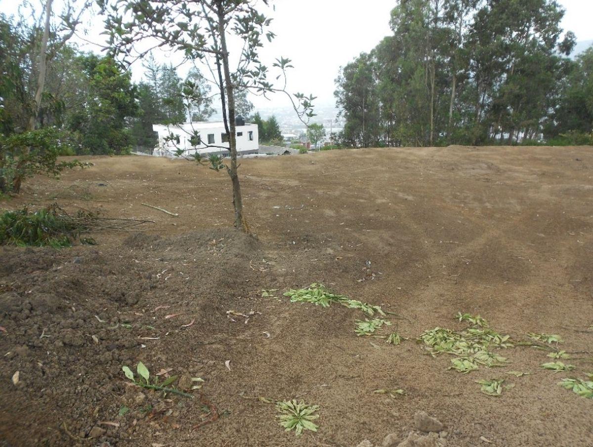 Vendo Terreno 4.661 m² Sector Colegio Terranova (Cm) — imagen 7