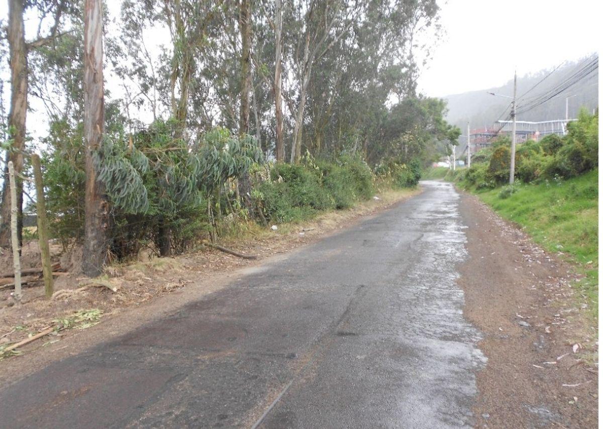 Vendo Terreno 4.661 m² Sector Colegio Terranova (Cm) — imagen 6