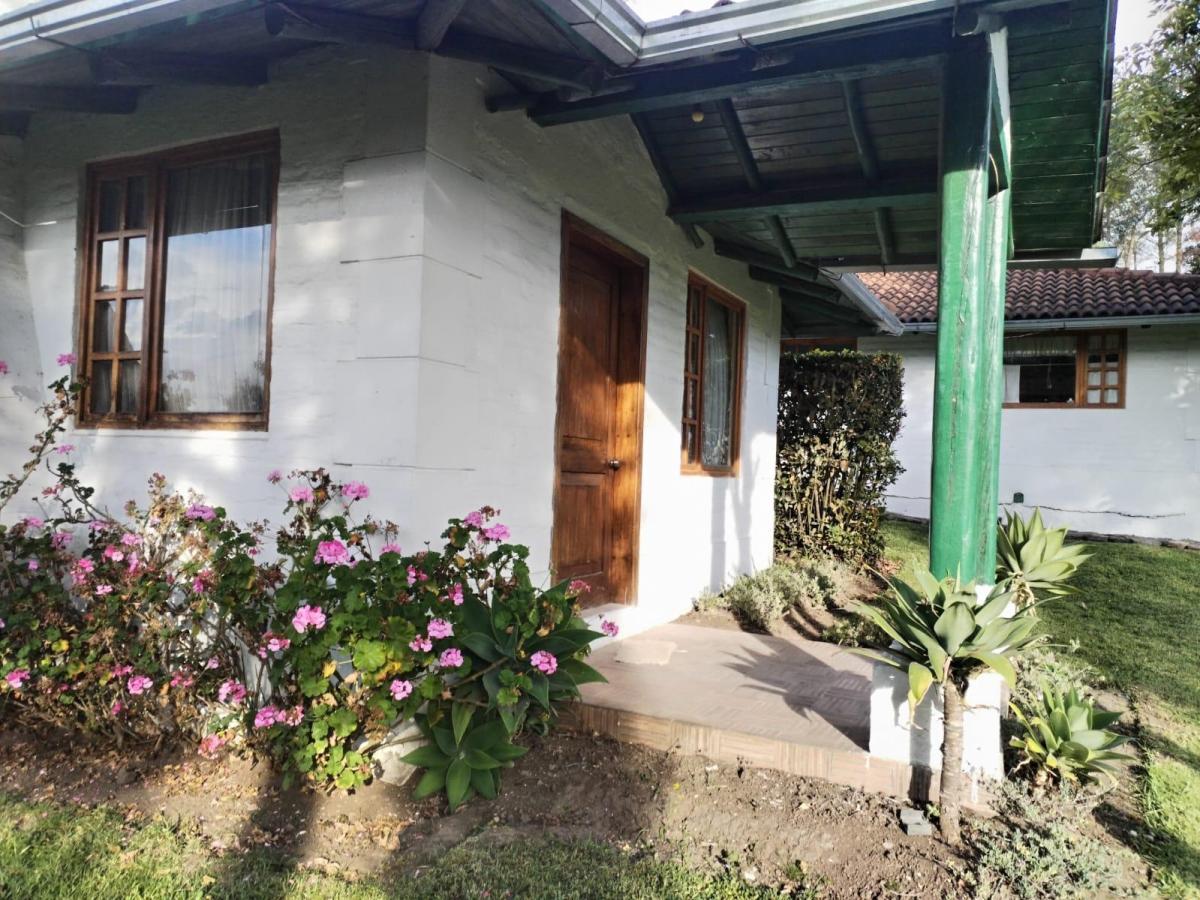 Terreno en Pifo — imagen 10