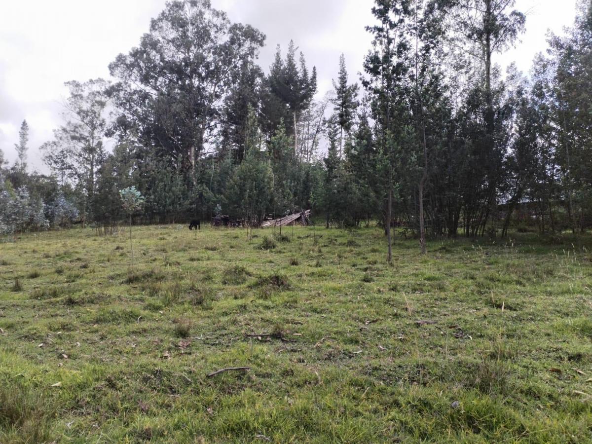 Terreno en Pifo — imagen 9