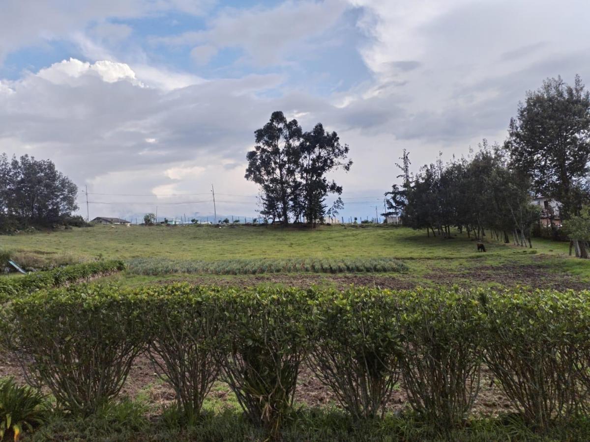Terreno en Pifo — imagen 8