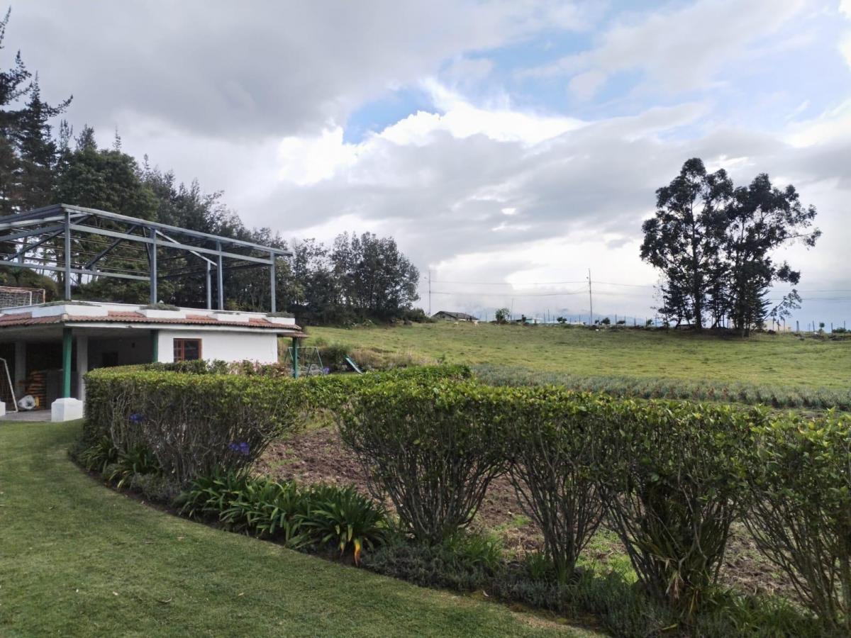 Terreno en Pifo — imagen 6