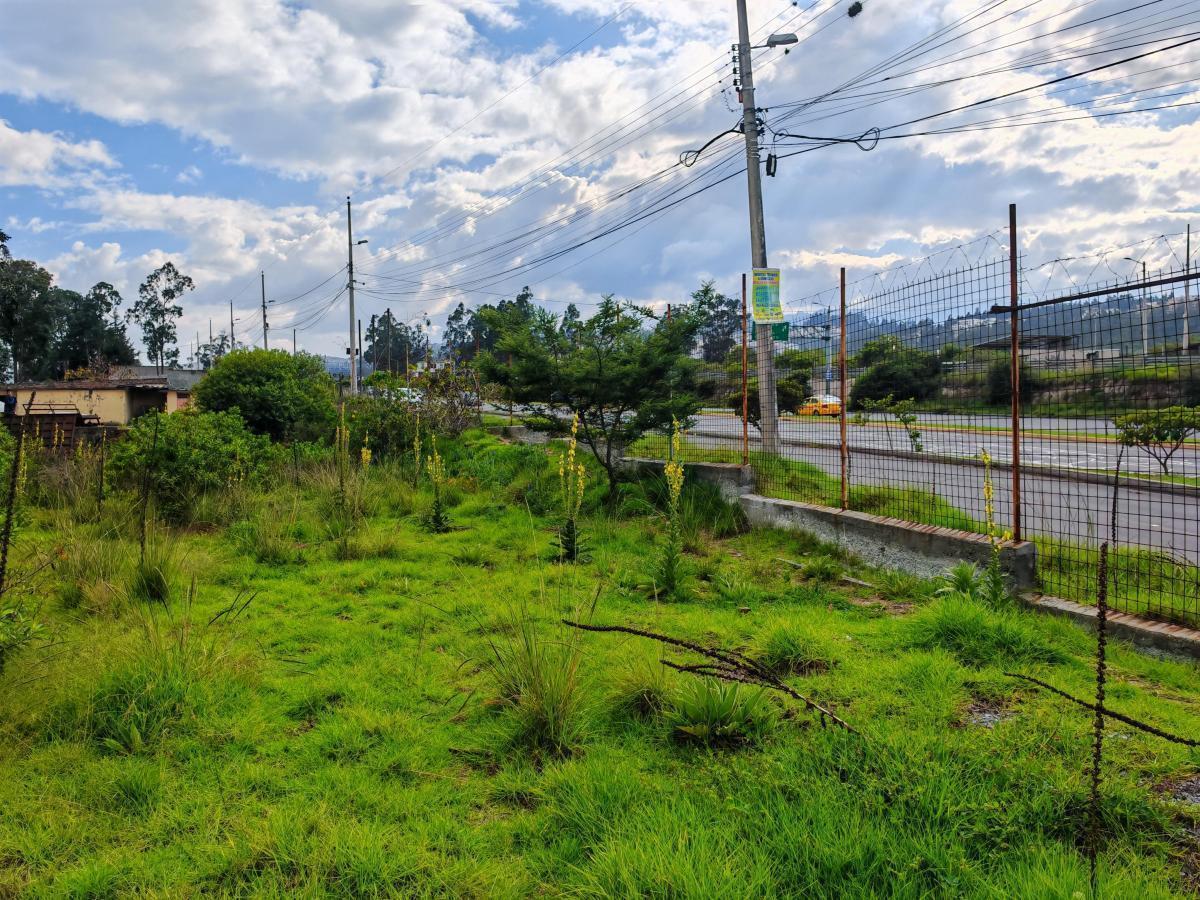 Gran Oportunidad de Inversión en Terreno de 12.220 m² en Av Simón Bolívar — imagen 8