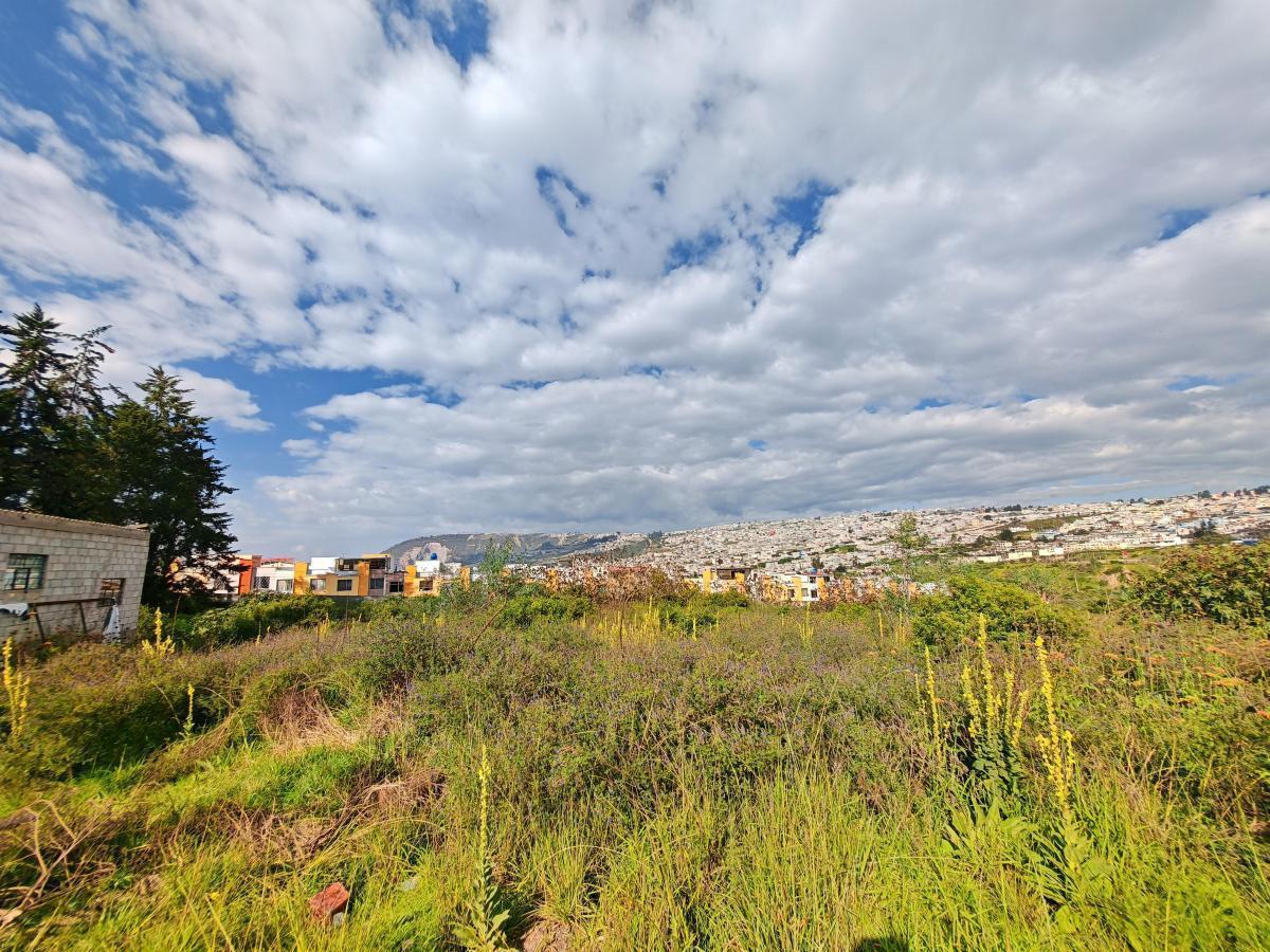 Gran Oportunidad de Inversión en Terreno de 12.220 m² en Av Simón Bolívar — imagen 6