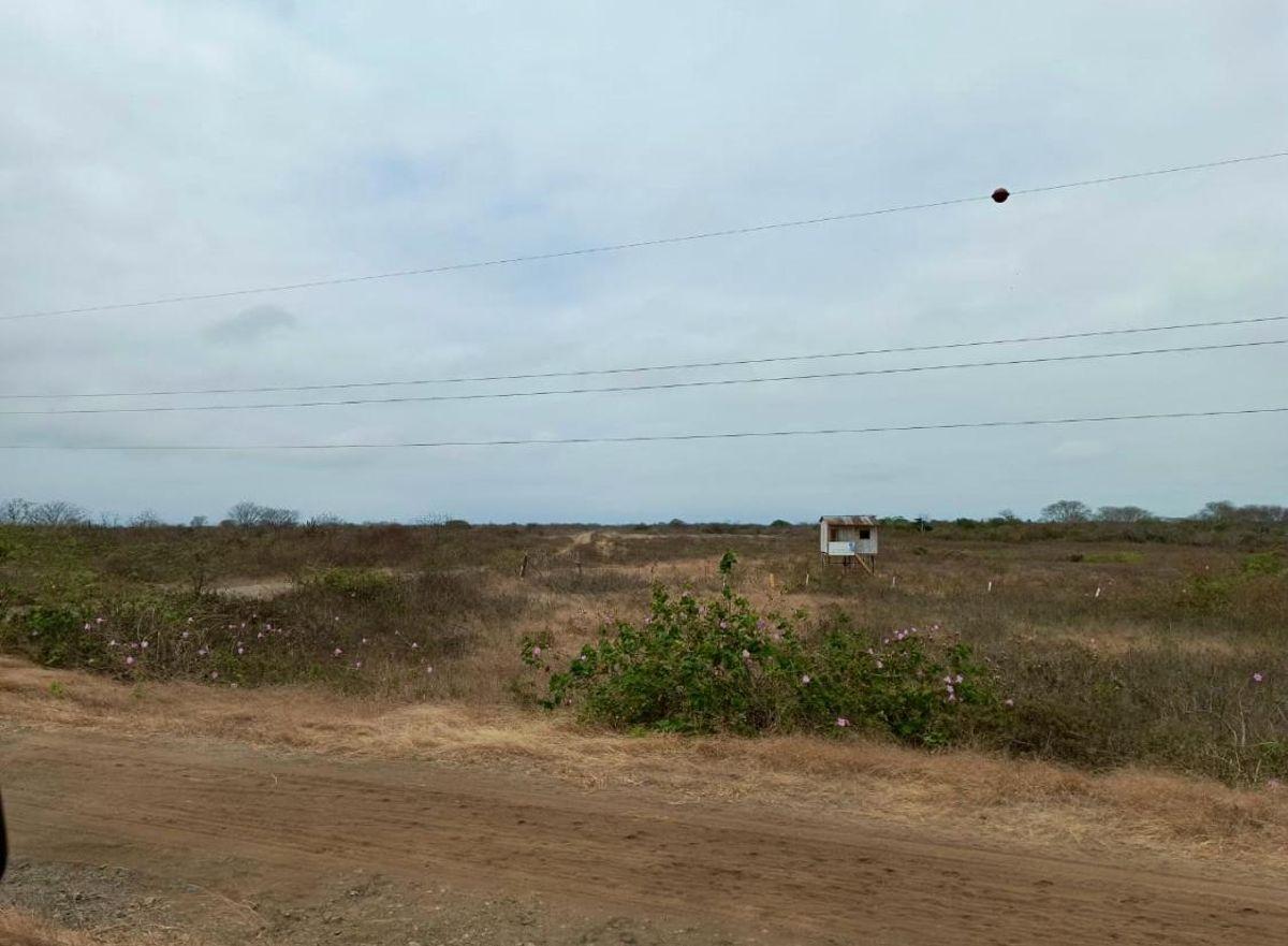 Terreno en Venta 40 Hectáreas Via Puerto Posorja Calvarez, Guayas — imagen 5