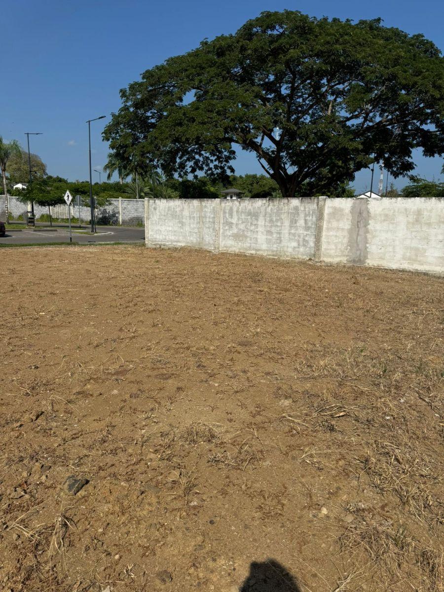 Terreno en Venta Urb. Costal Sol, Guayas — imagen 6
