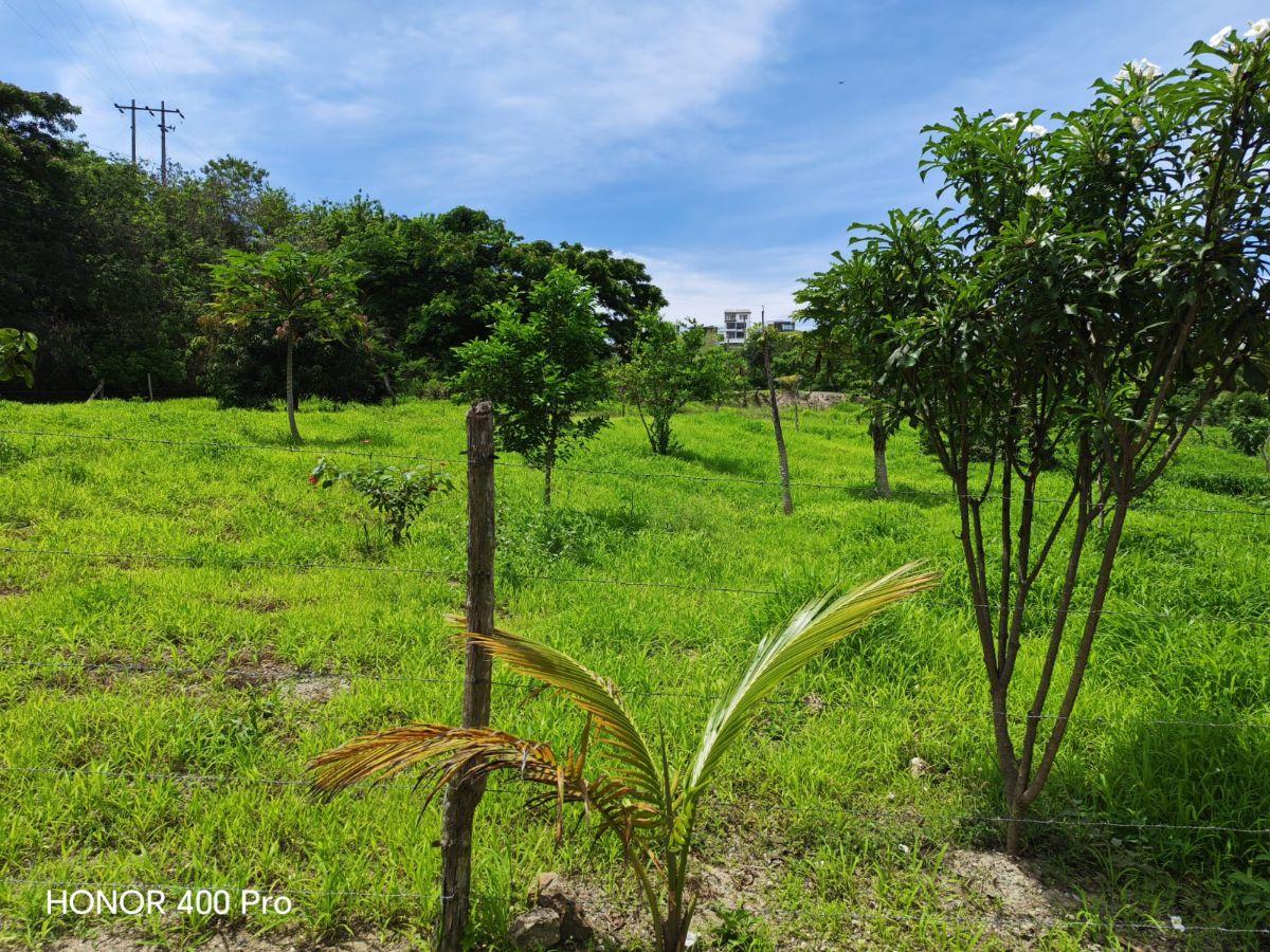 Vendo Lindo Terreno de 2000 m en Jama, Manabi, Manabí — imagen 10