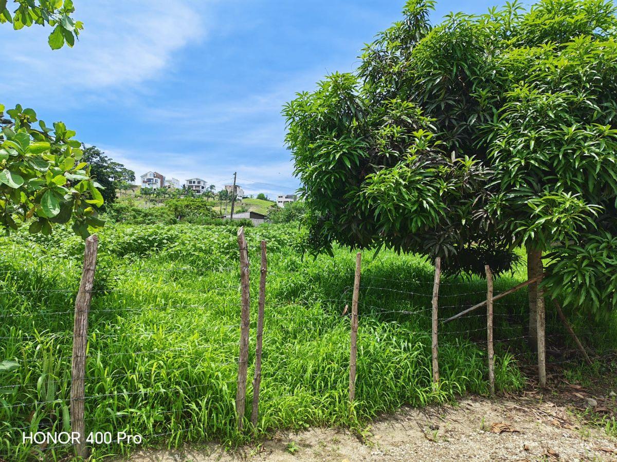 Vendo Lindo Terreno de 2000 m en Jama, Manabi, Manabí — imagen 9