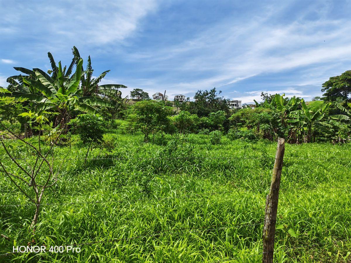 Vendo Lindo Terreno de 2000 m en Jama, Manabi, Manabí — imagen 8