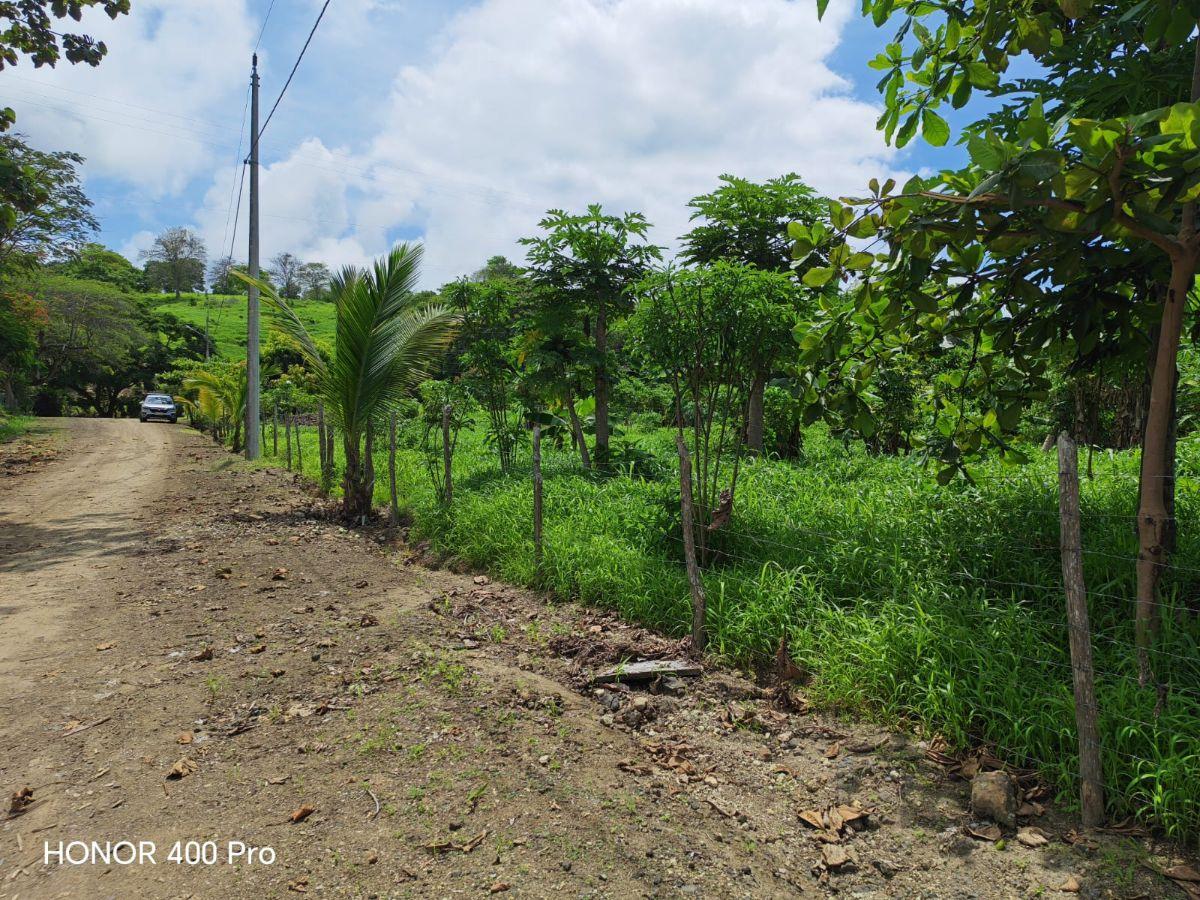 Vendo Lindo Terreno de 2000 m en Jama, Manabi, Manabí — imagen 7