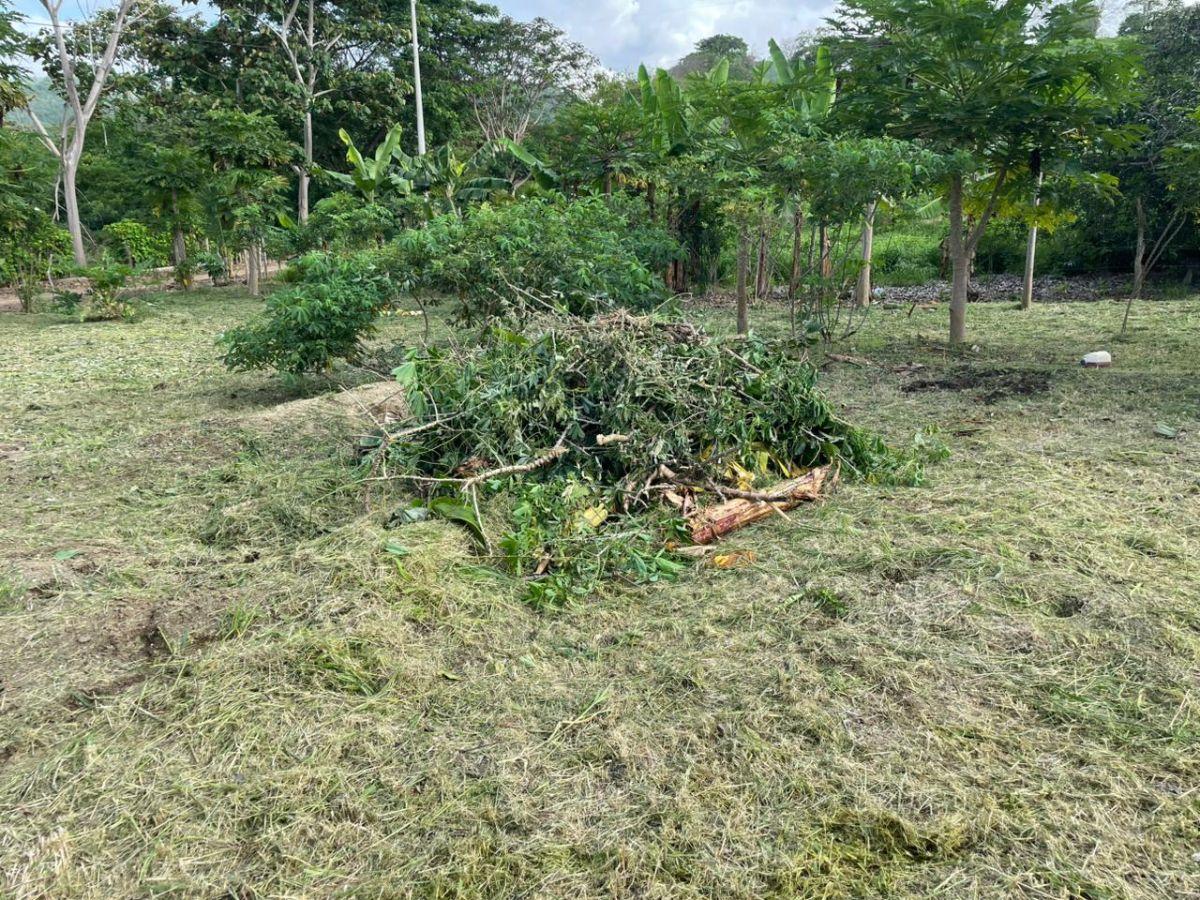 Vendo Lindo Terreno de 2000 m en Jama, Manabi, Manabí — imagen 6