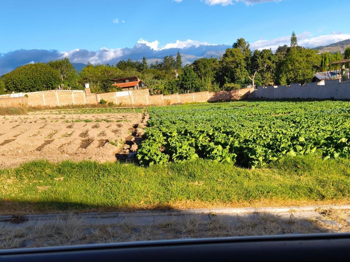 Terreno de Venta de 4250 m, Sector Buena Esperanza, Tumbaco — imagen 7