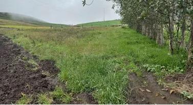 Imbabura, pimampiro Terreno de Venta 180.40 m², Imbabura — imagen 5
