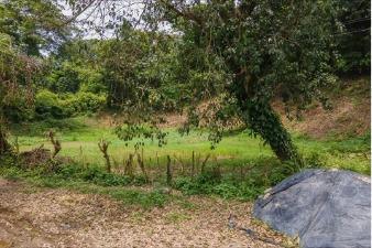 Imbabura, pimampiro Terreno de Venta 180.40 m², Imbabura — imagen 2