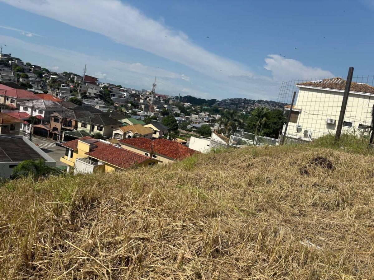 Venta de Terreno en Ceibos Norte (Gwong), Guayas — imagen 6