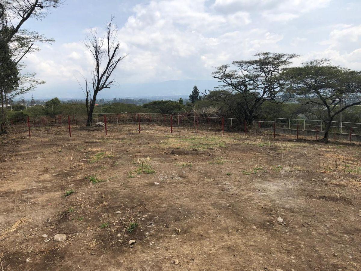 Terreno de Venta en Urb Montearomo 1002 m² — imagen 2