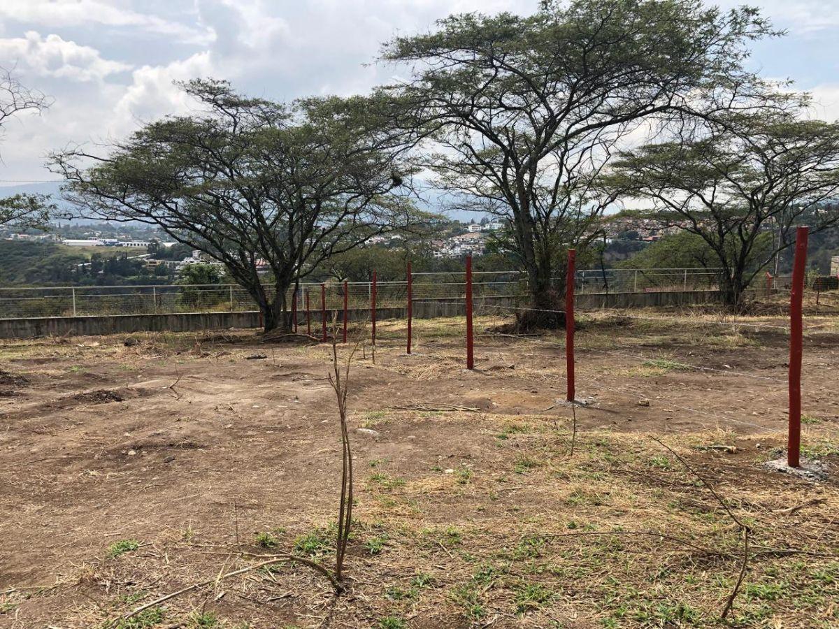Terreno de Venta Urb Montearomo 1007 m² — imagen 8