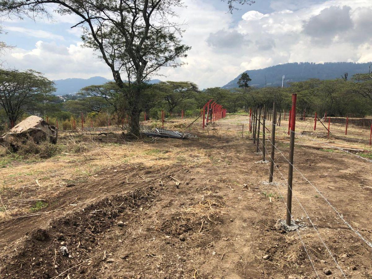 Terreno de Venta Urb Montearomo 1007 m² — imagen 6