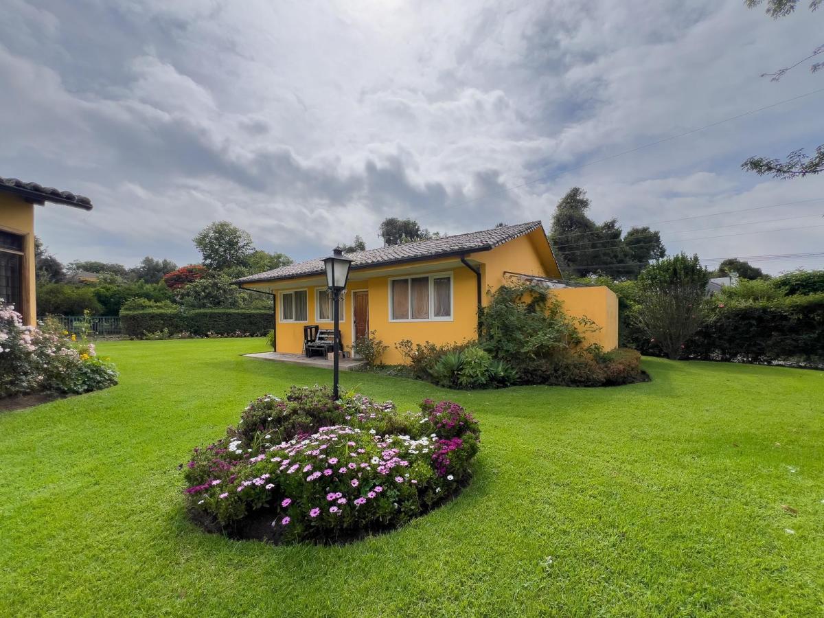 Terreno de Venta en Urbanización, Junto Al Nuevo Proyecto San Patricio — imagen 7