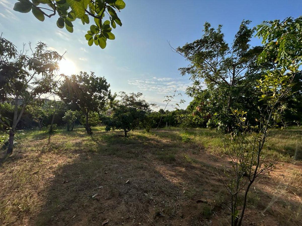 Terreno de 2000 m² en Venta en Fincas Colinas del Pacifico Lago Azul, Guayas — imagen 4