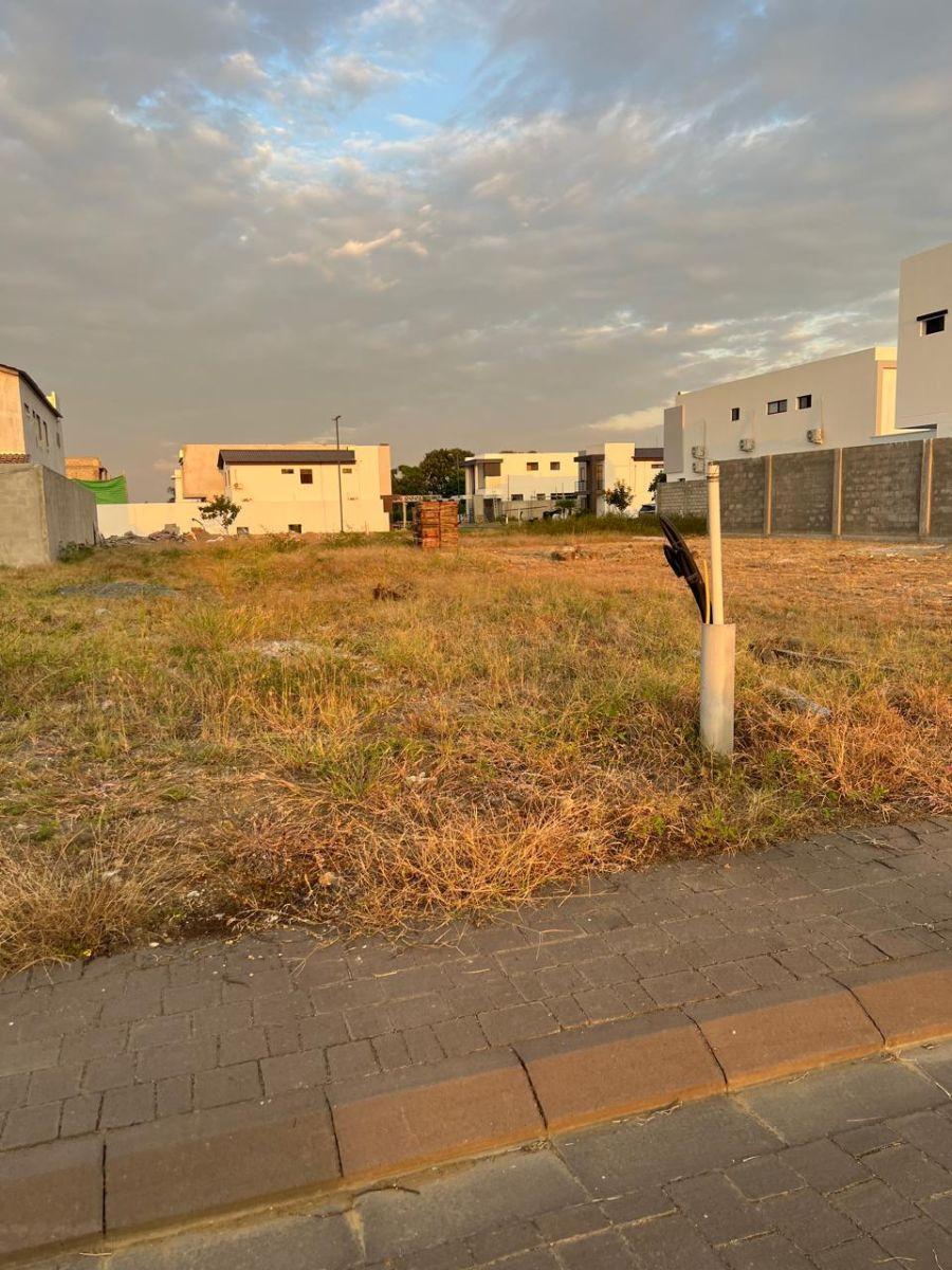Venta 231 m² Etapa Babor de Isla Celeste, Urbanizacion Cerrada, Seguridad 24/7 con Canchas, Piscinas, Guayas — imagen 7