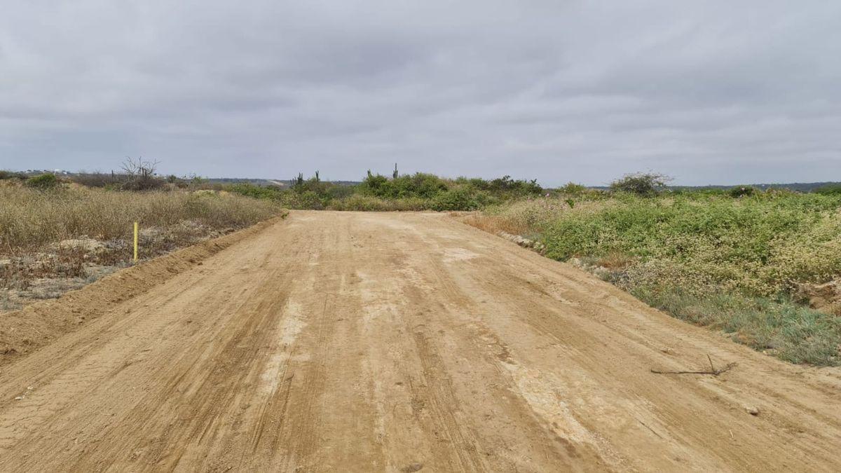 Venta Terreno en Taos 2000 m² (8 Lotes) D. Aguiar — imagen 2