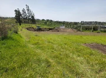 Terreno en Venta Ambato, Sector Izamba, 400 m² Planos, Oportunidad de Inversión, Tungurahua — imagen 5