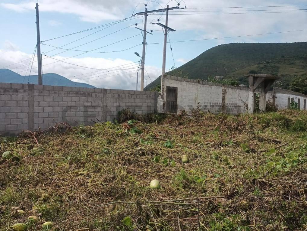 En Puellaro, Vendo Terreno de 1636 m² a Una Cuadra de La Via Principal — imagen 4