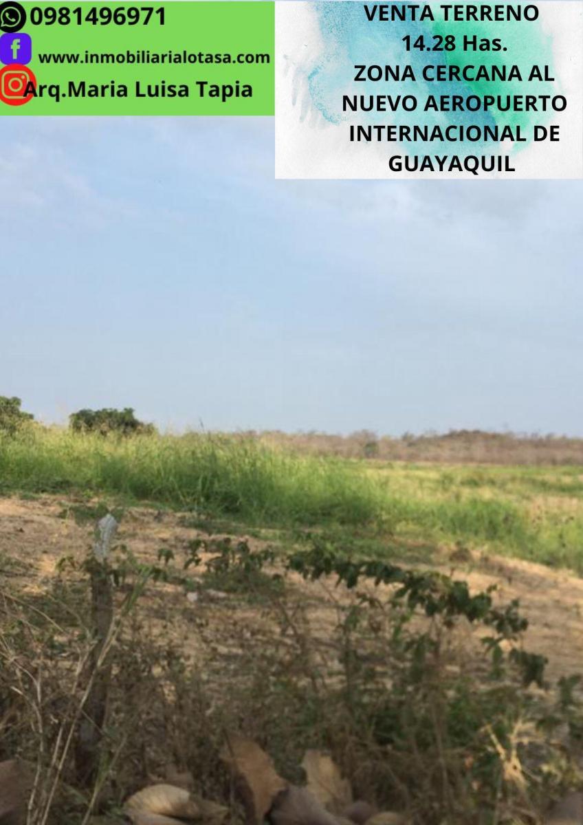 Venta Terreno 14.28 Has Via Gquil - Salinas, Sector Chongon, Guayas — imagen 9