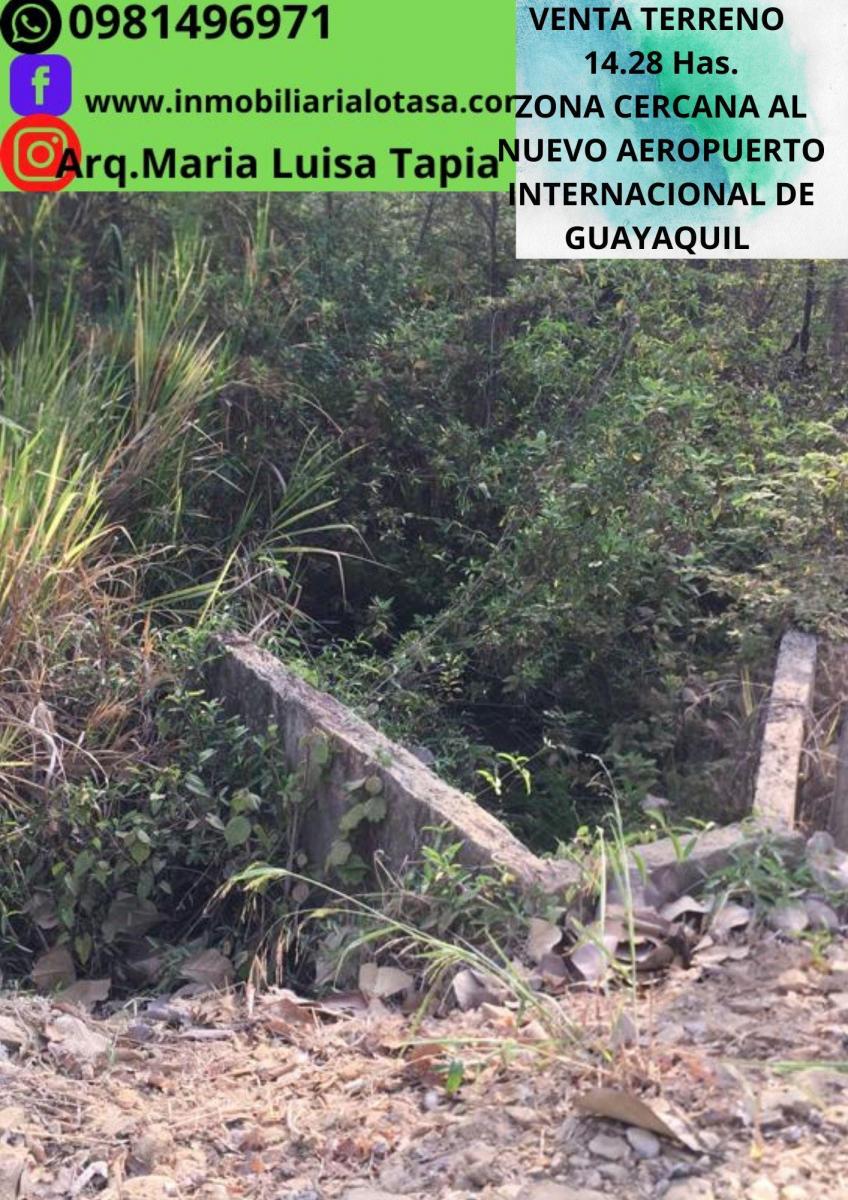 Venta Terreno 14.28 Has Via Gquil - Salinas, Sector Chongon, Guayas — imagen 6
