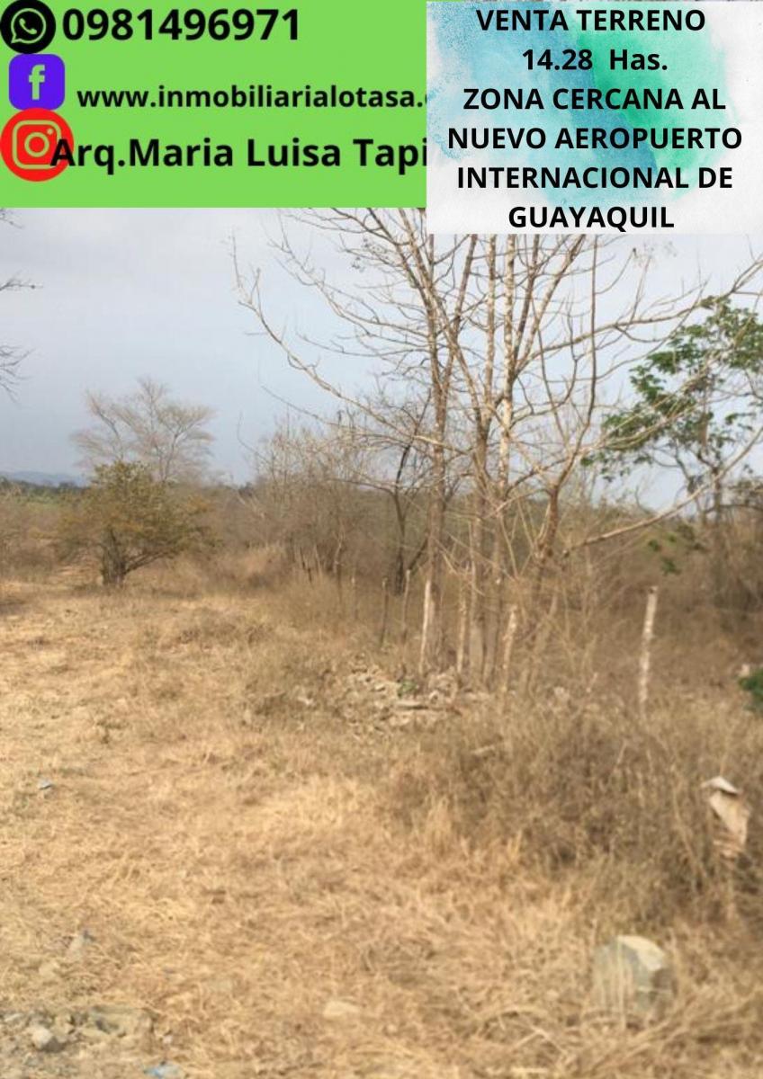 Venta Terreno 14.28 Has Via Gquil - Salinas, Sector Chongon, Guayas — imagen 4