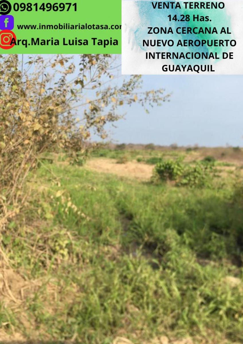 Venta Terreno 14.28 Has Via Gquil - Salinas, Sector Chongon, Guayas — imagen 3