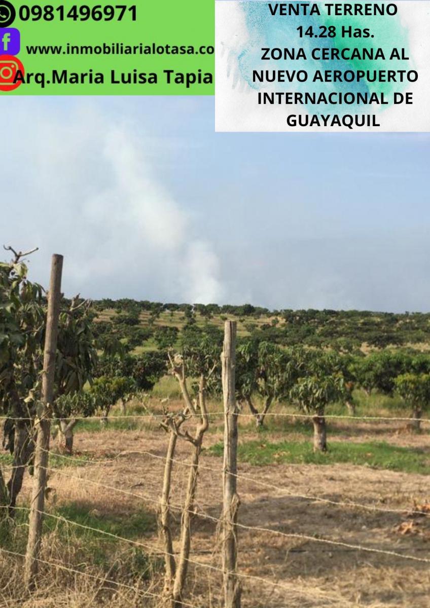 Venta Terreno 14.28 Has Via Gquil - Salinas, Sector Chongon, Guayas — imagen 2
