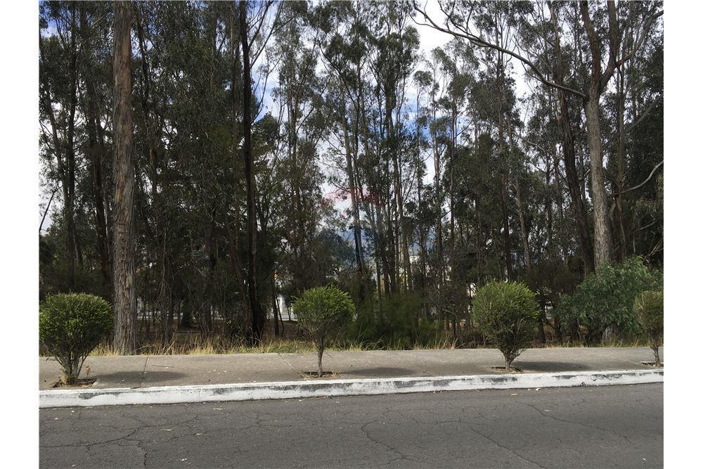 Vendo Excelente Terreno 980 m² Urbanizacion El Condado — imagen 10