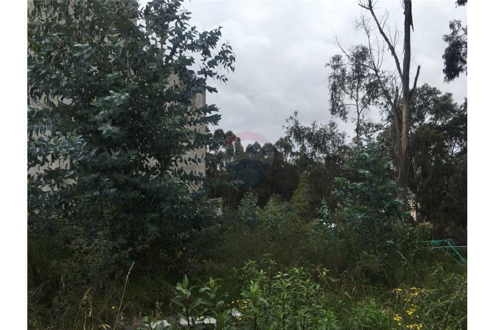 Vendo Excelente Terreno 980 m² Urbanizacion El Condado — imagen 9
