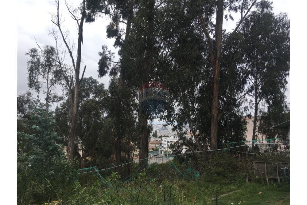 Vendo Excelente Terreno 980 m² Urbanizacion El Condado — imagen 7