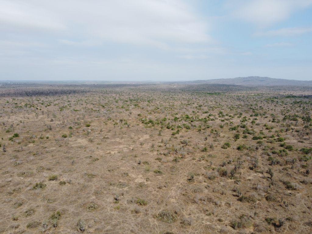 Terreno Agrícola en Venta en Vía Gquil - Salinas — imagen 6