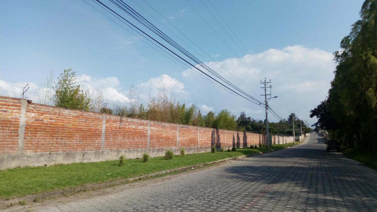 En Venta Lotes de 2500 m² Dentro de Urbanización en Tumbaco Las Peñas — imagen 8